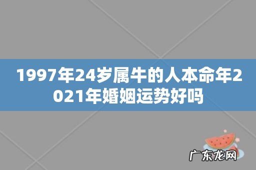 1997年24岁属牛的人本命年2021年婚姻运势好吗