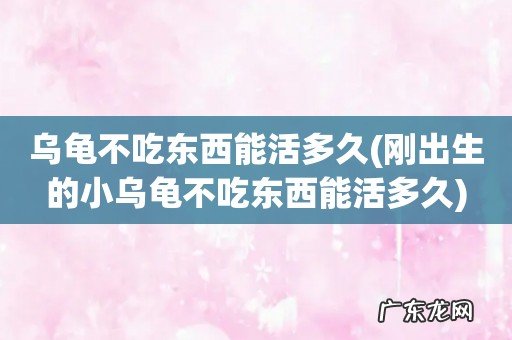 刚出生的小乌龟不吃东西能活多久 乌龟不吃东西能活多久