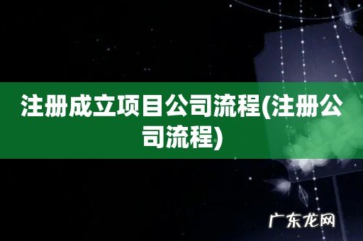 注册公司流程 注册成立项目公司流程