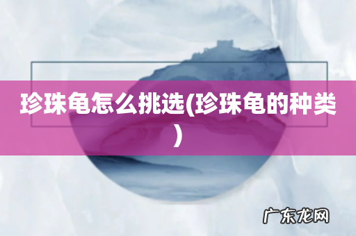 珍珠龟的种类 珍珠龟怎么挑选