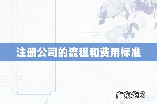 注册公司的流程和费用标准