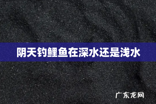 阴天钓鲤鱼在深水还是浅水