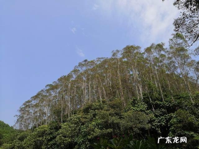 南宁最邪的地方 南宁风水最差的地方