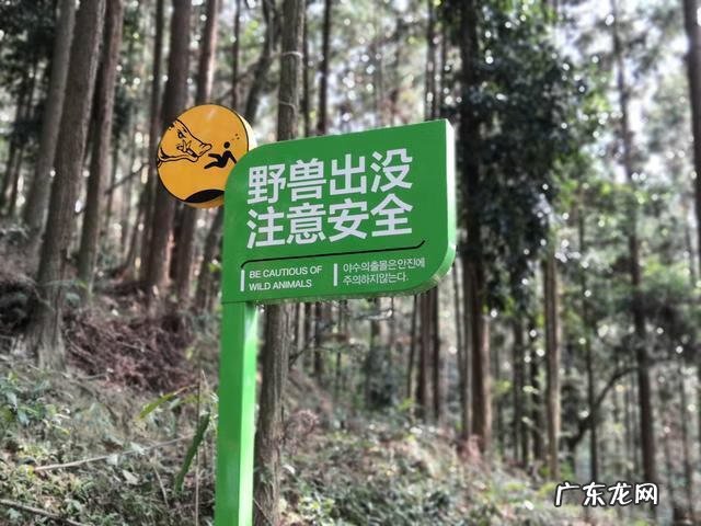 南宁最邪的地方 南宁风水最差的地方