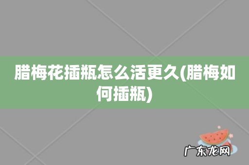 腊梅如何插瓶 腊梅花插瓶怎么活更久