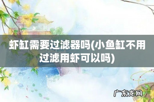 小鱼缸不用过滤用虾可以吗 虾缸需要过滤器吗