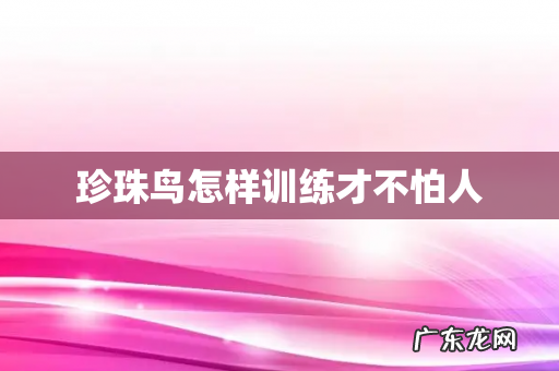 珍珠鸟怎样训练才不怕人