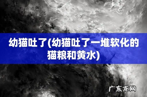 幼猫吐了一堆软化的猫粮和黄水 幼猫吐了