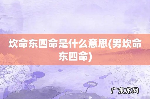 男坎命东四命 坎命东四命是什么意思