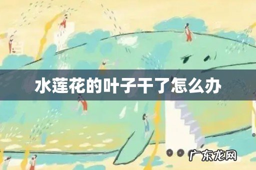 水莲花的叶子干了怎么办