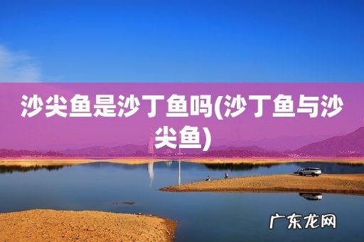 沙丁鱼与沙尖鱼 沙尖鱼是沙丁鱼吗