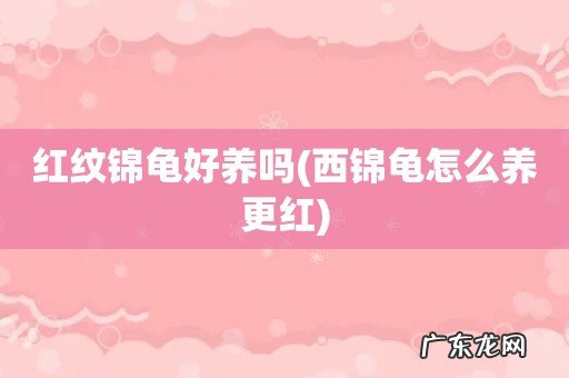 西锦龟怎么养更红 红纹锦龟好养吗