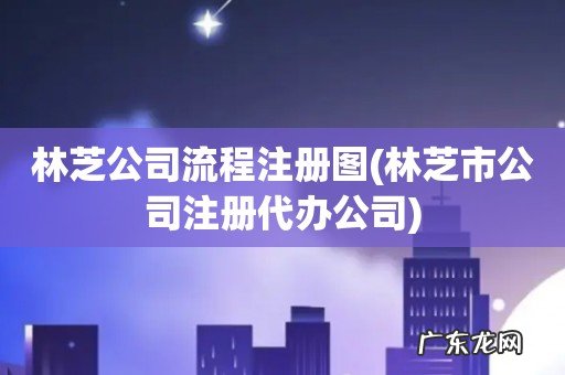林芝市公司注册代办公司 林芝公司流程注册图