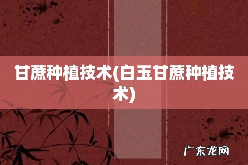 白玉甘蔗种植技术 甘蔗种植技术