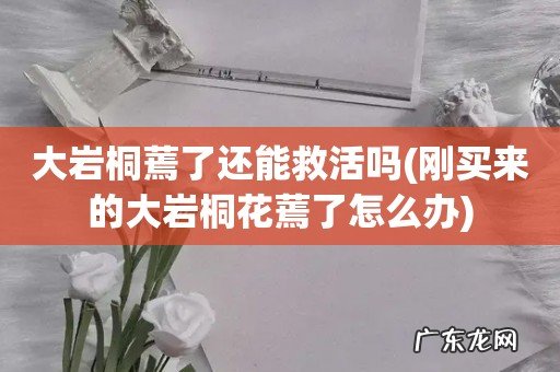 刚买来的大岩桐花蔫了怎么办 大岩桐蔫了还能救活吗