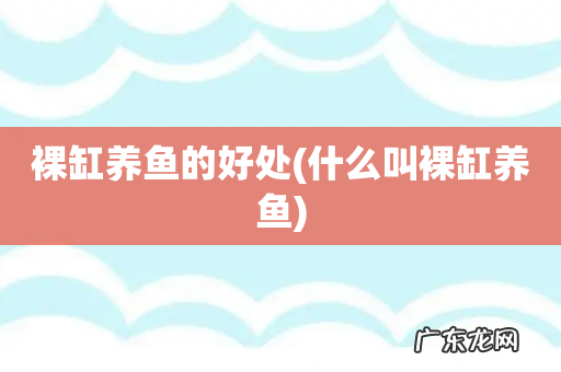 什么叫裸缸养鱼 裸缸养鱼的好处