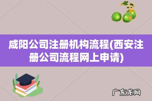 西安注册公司流程网上申请 咸阳公司注册机构流程