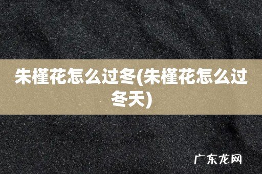 朱槿花怎么过冬天 朱槿花怎么过冬