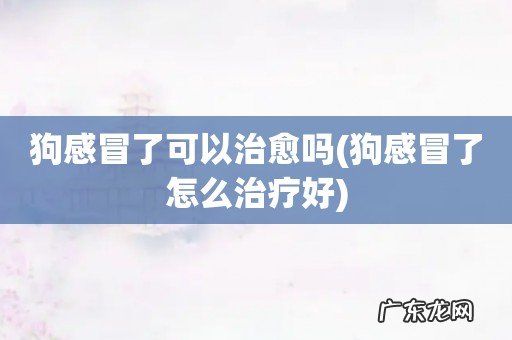 狗感冒了怎么治疗好 狗感冒了可以治愈吗