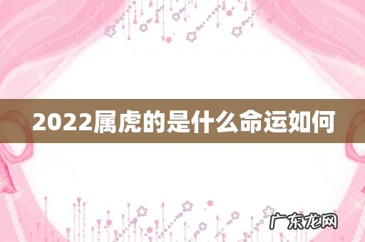 2022属虎的是什么命运如何