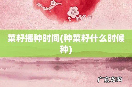 种菜籽什么时候种 菜籽播种时间