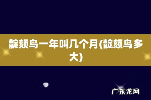 靛颏鸟多大 靛颏鸟一年叫几个月