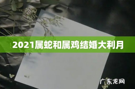 2021属蛇和属鸡结婚大利月