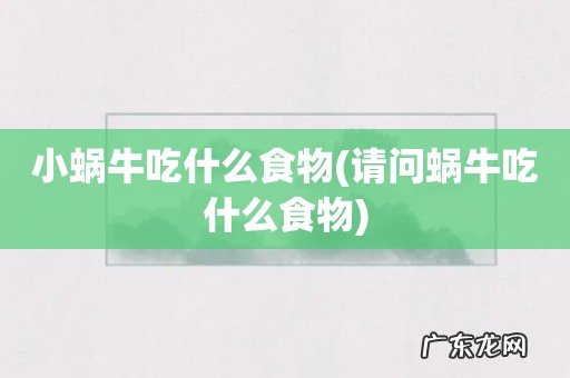 请问蜗牛吃什么食物 小蜗牛吃什么食物