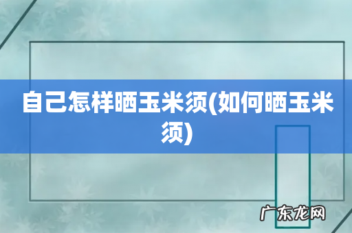 如何晒玉米须 自己怎样晒玉米须