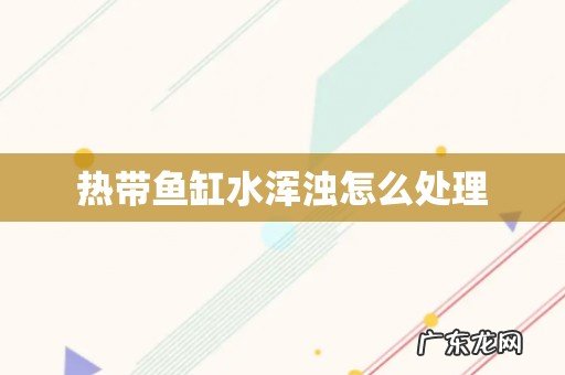 热带鱼缸水浑浊怎么处理