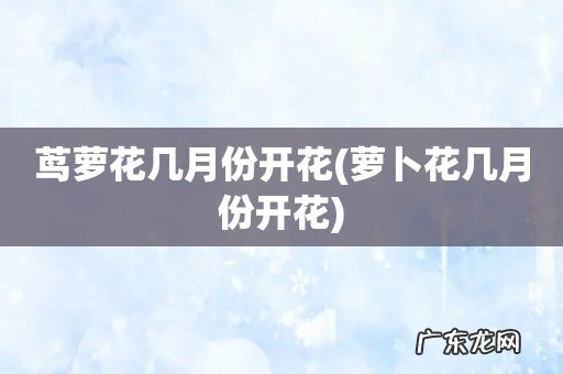 萝卜花几月份开花 茑萝花几月份开花