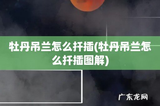 牡丹吊兰怎么扦插图解 牡丹吊兰怎么扦插