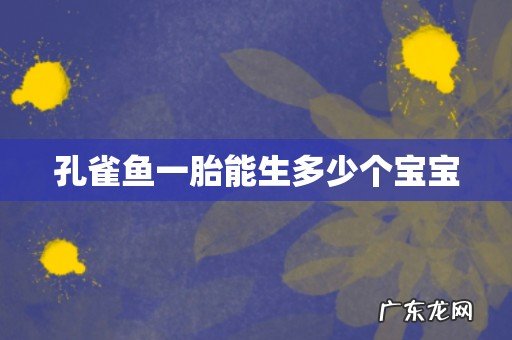 孔雀鱼一胎能生多少个宝宝