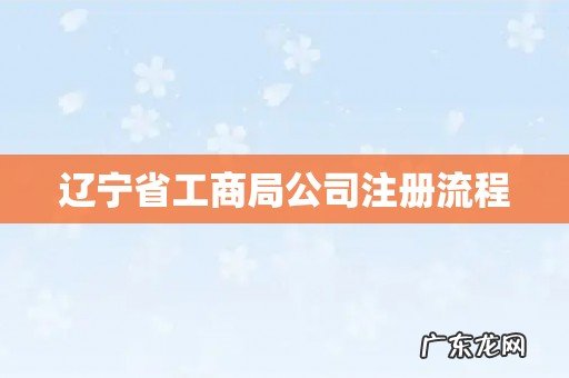 辽宁省工商局公司注册流程