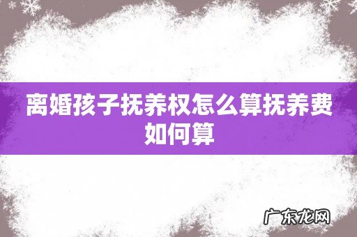 离婚孩子抚养权怎么算抚养费如何算