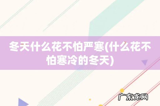 什么花不怕寒冷的冬天 冬天什么花不怕严寒