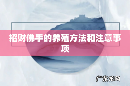 招财佛手的养殖方法和注意事项