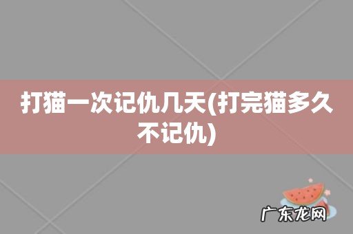 打完猫多久不记仇 打猫一次记仇几天