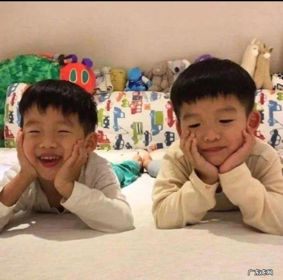 可爱的双胞胎视频 两只好可爱双胞胎