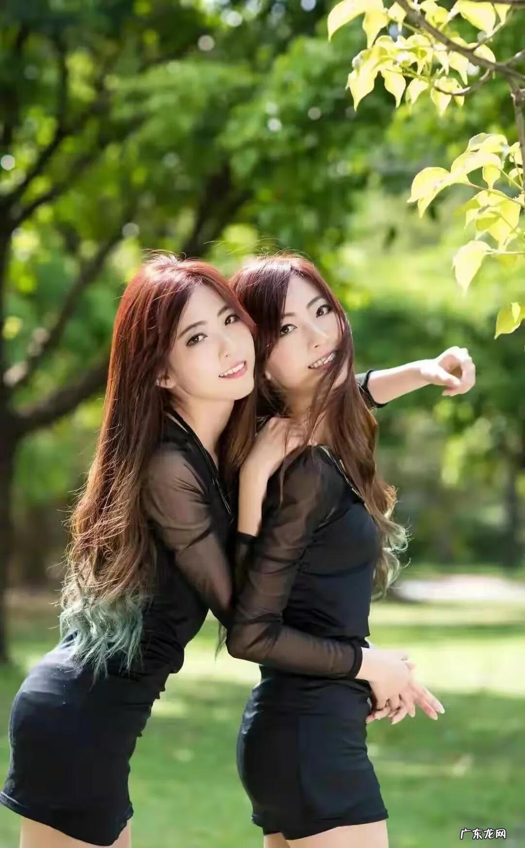 可爱的双胞胎视频 两只好可爱双胞胎