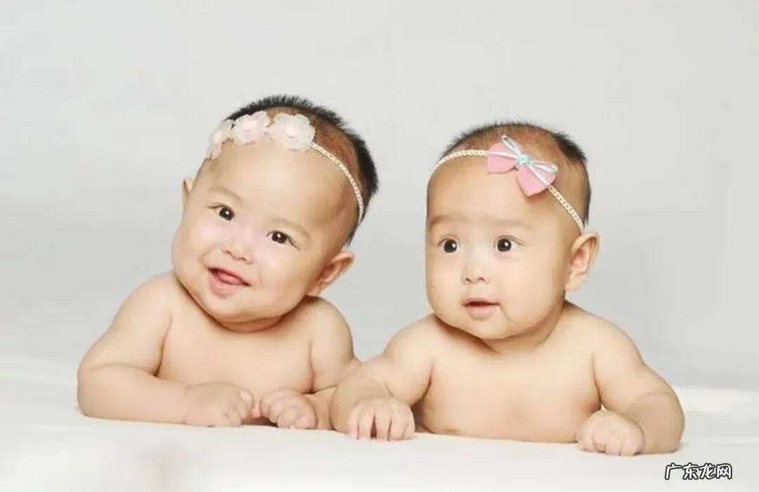 可爱的双胞胎视频 两只好可爱双胞胎