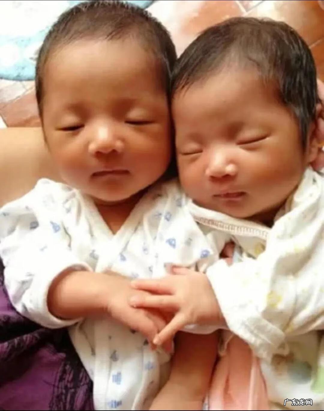 可爱的双胞胎视频 两只好可爱双胞胎