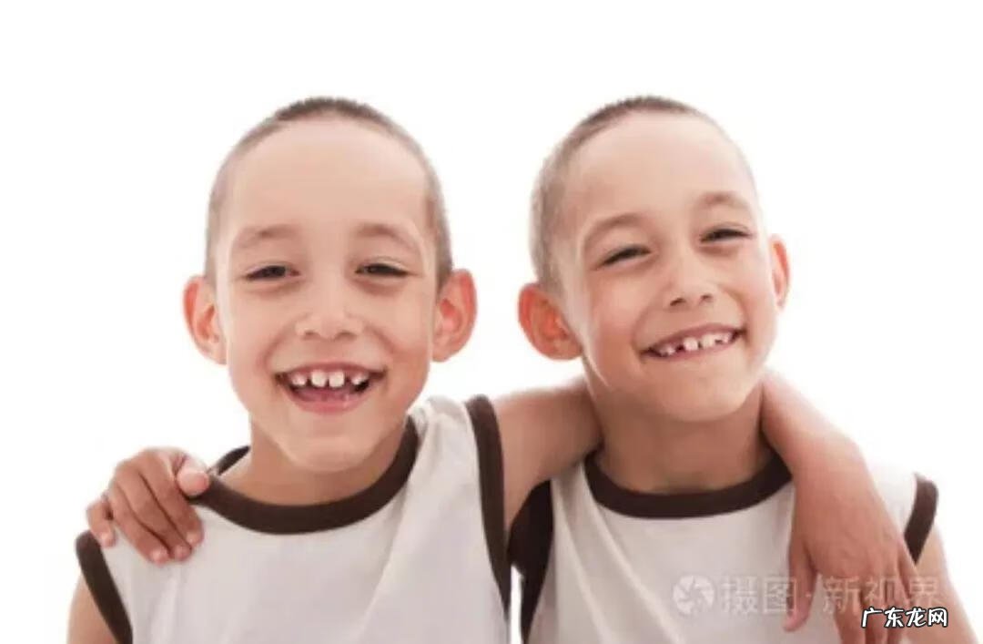 可爱的双胞胎视频 两只好可爱双胞胎