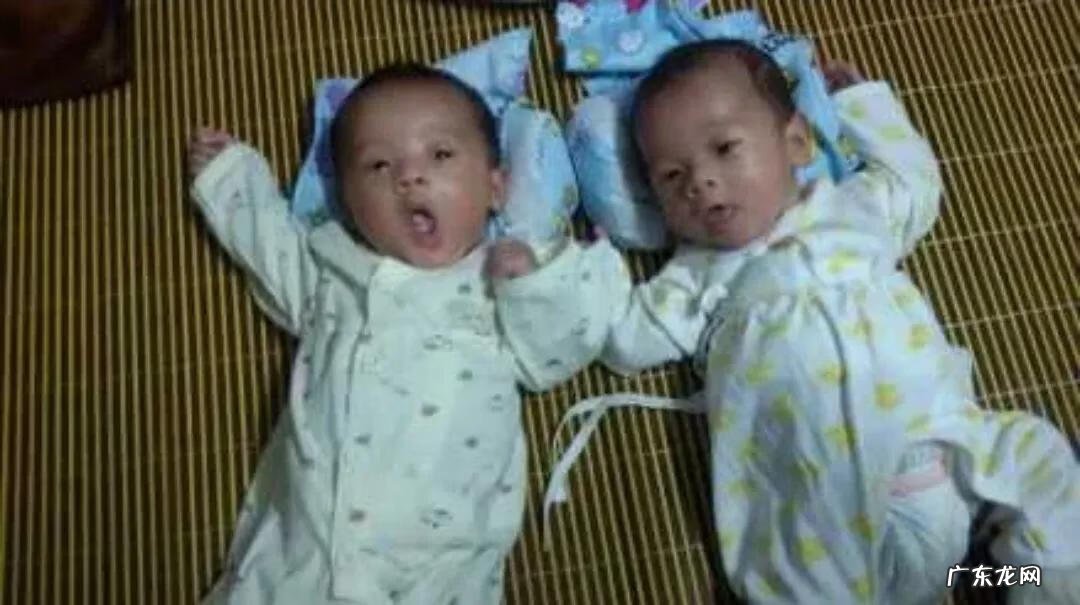 可爱的双胞胎视频 两只好可爱双胞胎