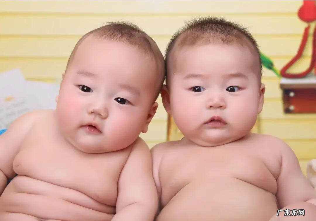 可爱的双胞胎视频 两只好可爱双胞胎