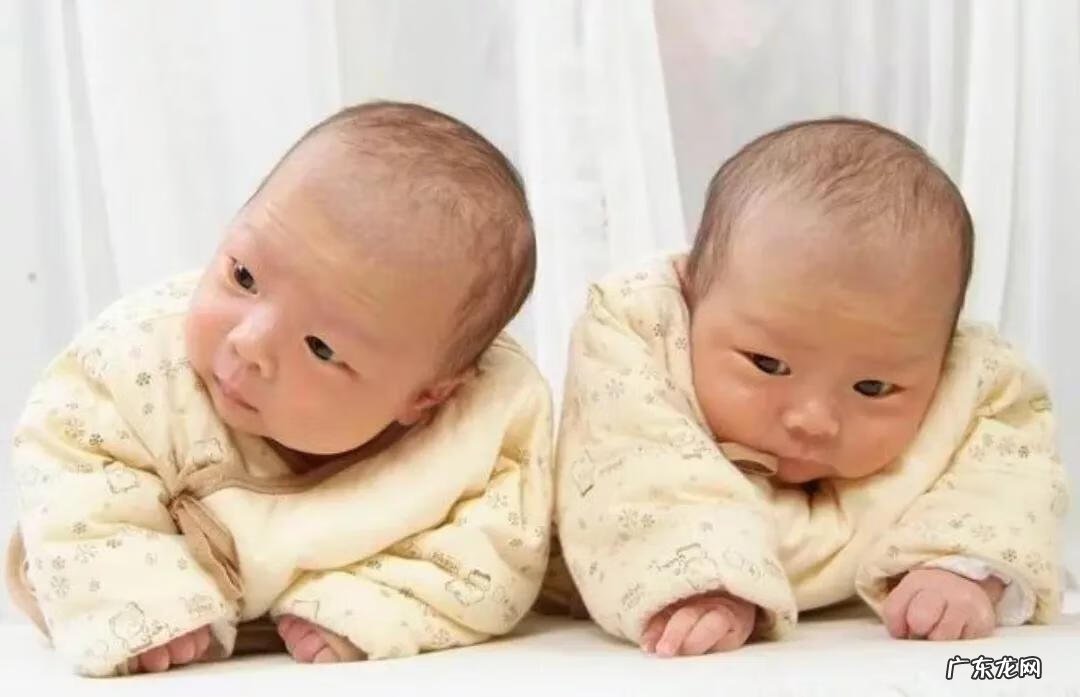 可爱的双胞胎视频 两只好可爱双胞胎