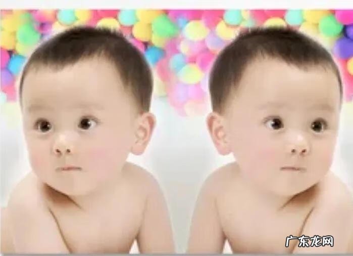 可爱的双胞胎视频 两只好可爱双胞胎