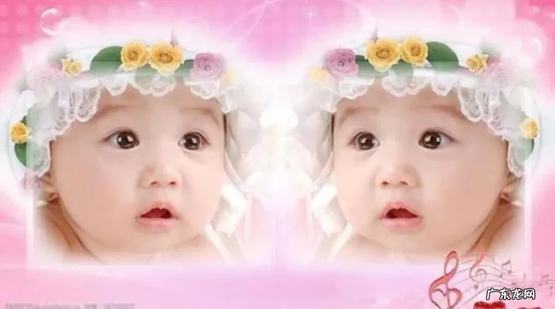 可爱的双胞胎视频 两只好可爱双胞胎