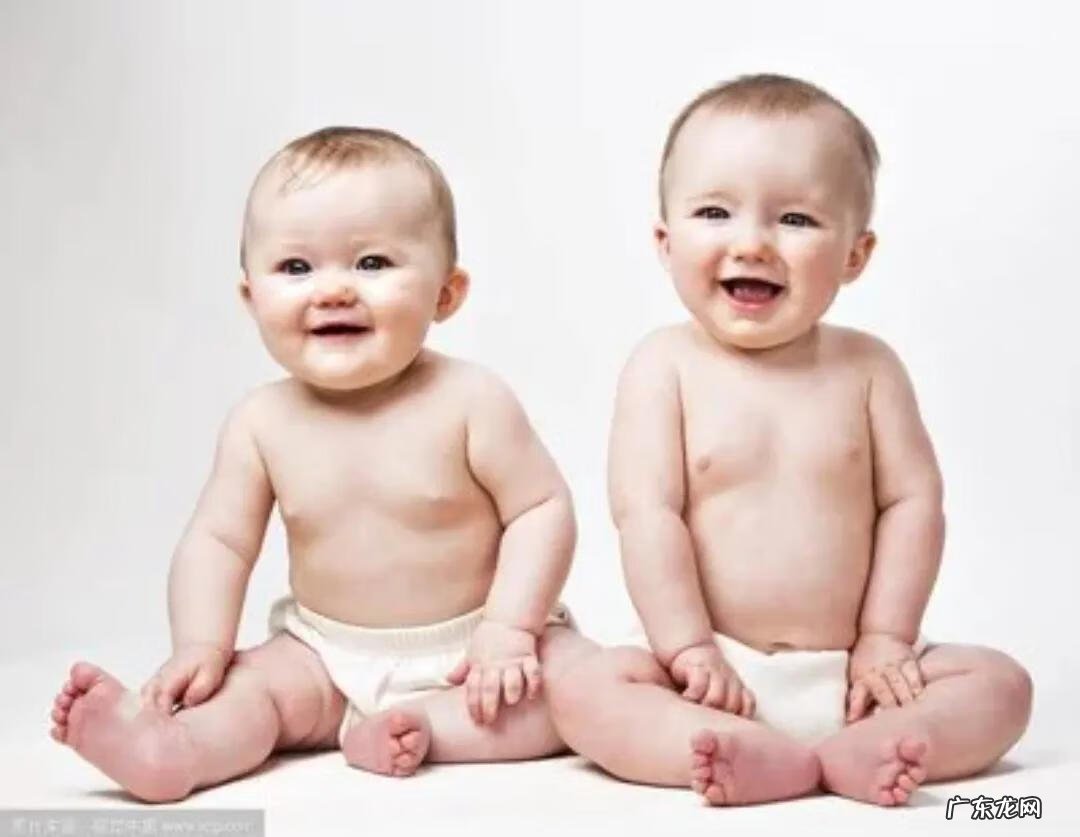 可爱的双胞胎视频 两只好可爱双胞胎