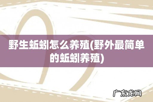 野外最简单的蚯蚓养殖 野生蚯蚓怎么养殖